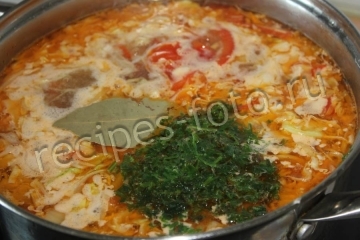Куриный суп с помидорами и капустой