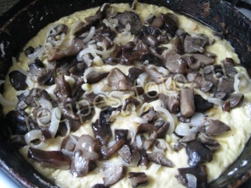 Пирог с грибами и сыром на быстром тесте на сметане: рецепт с фото