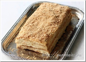 Napoleon cake recipe is a classic with photos g6
