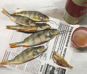 Вяленая рыба в домашних условиях 