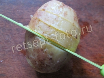 Картошка-гармошка с сыром и луком в духовке