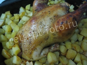 Курица с яблоками и картошкой в духовке