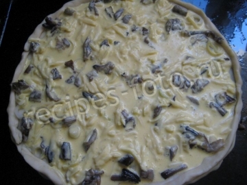 Пицца с грибами, сыром и белым соусом. Тесто без дрожжей