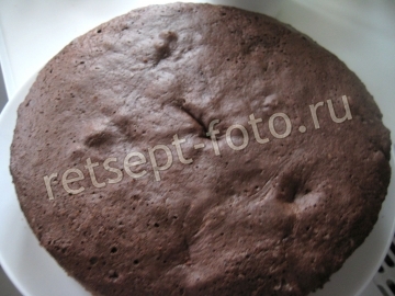 Шоколадный бисквитный торт с заварным кремом и орехами
