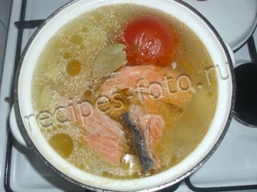 Суп из красной рыбы с рисом и помидорами